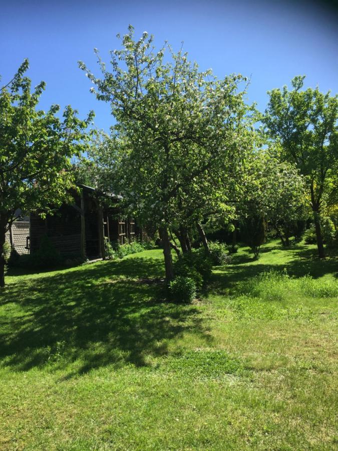 Homestay Goscinne Na Wodnej Lidzbark Welski